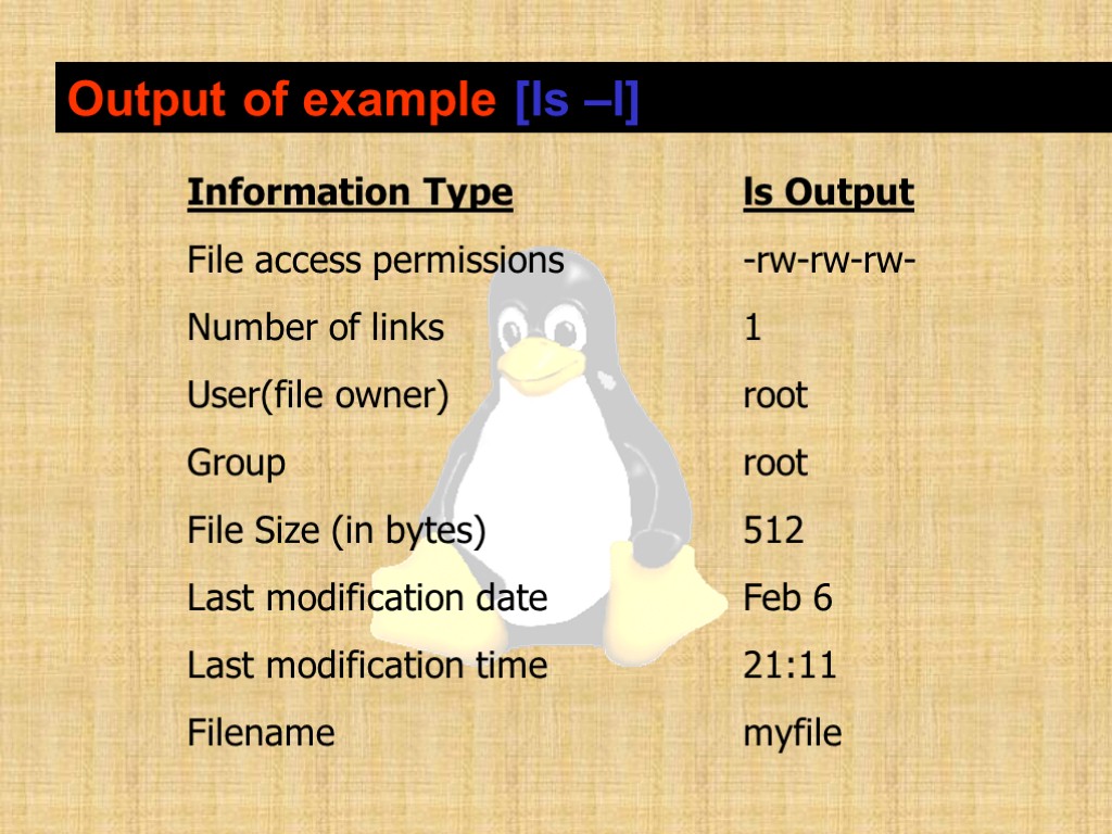 Output of example [ls –l] Information Type ls Output File access permissions -rw-rw-rw- Number